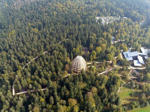 Смотровая башня из лиственницы в «Баварском лесу»: высокое признание качества Смотровая башня из лиственницы в «Баварском лесу»: высокое признание качества