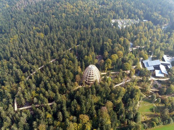 Смотровая башня из лиственницы в «Баварском лесу»: высокое признание качества