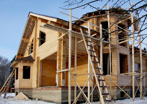 Сибирский кедр — уникальная древесина для Вашего строительства